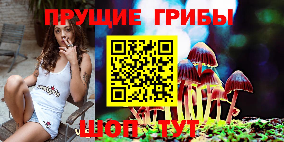 Псилоцибиновые грибы Magic Shrooms  Вход с VPN  Южно-Сахалинск 
